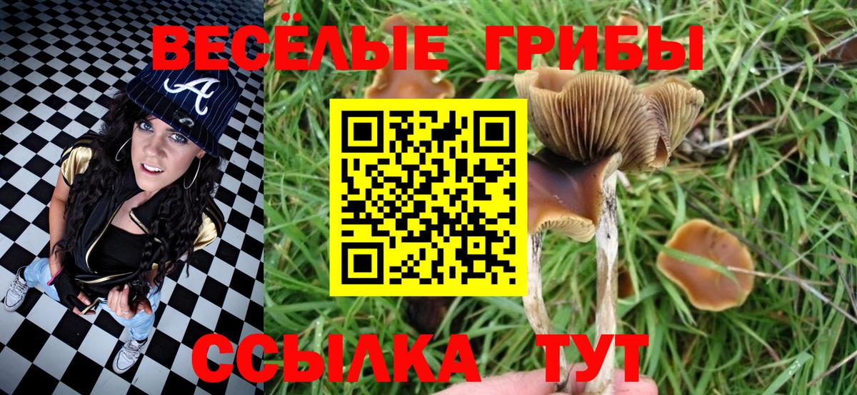 Апатиты  Псилоцибиновые грибы GOLDEN TEACHER  где можно купить наркотик  Вход с VPN  Галлюциногенные грибы MAGIC MUSHROOMS 
