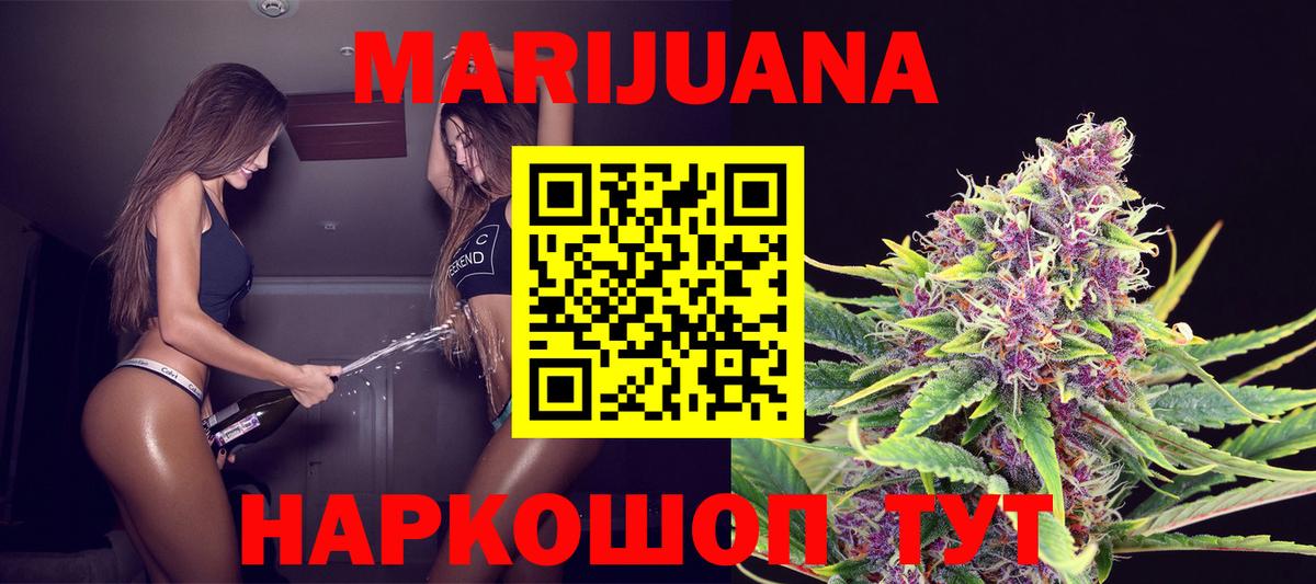 Конопля сатива Апатиты